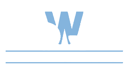 Speed With Style